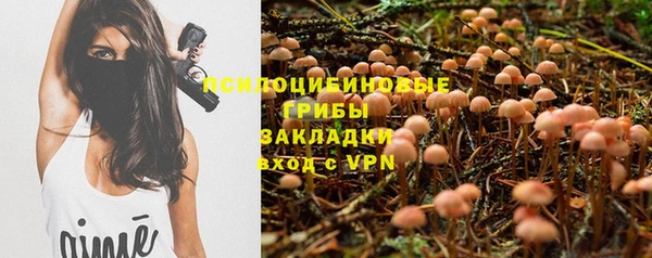бошки Абдулино