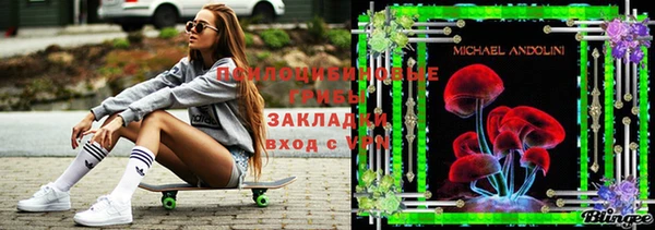 ГАЛЛЮЦИНОГЕННЫЕ ГРИБЫ Абинск