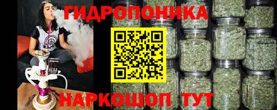 скорость Новозыбков